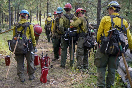 Wildland firefighters in PPE and hardhats prepping drip torches and tools for fireline operations, standing on a forest trail surrounded by pine trees, ready for wildfire suppression tasks.